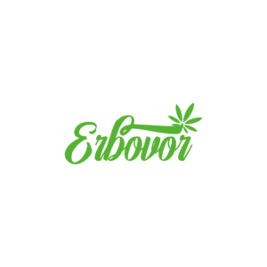Logo Design by PAYUNG Media Creative