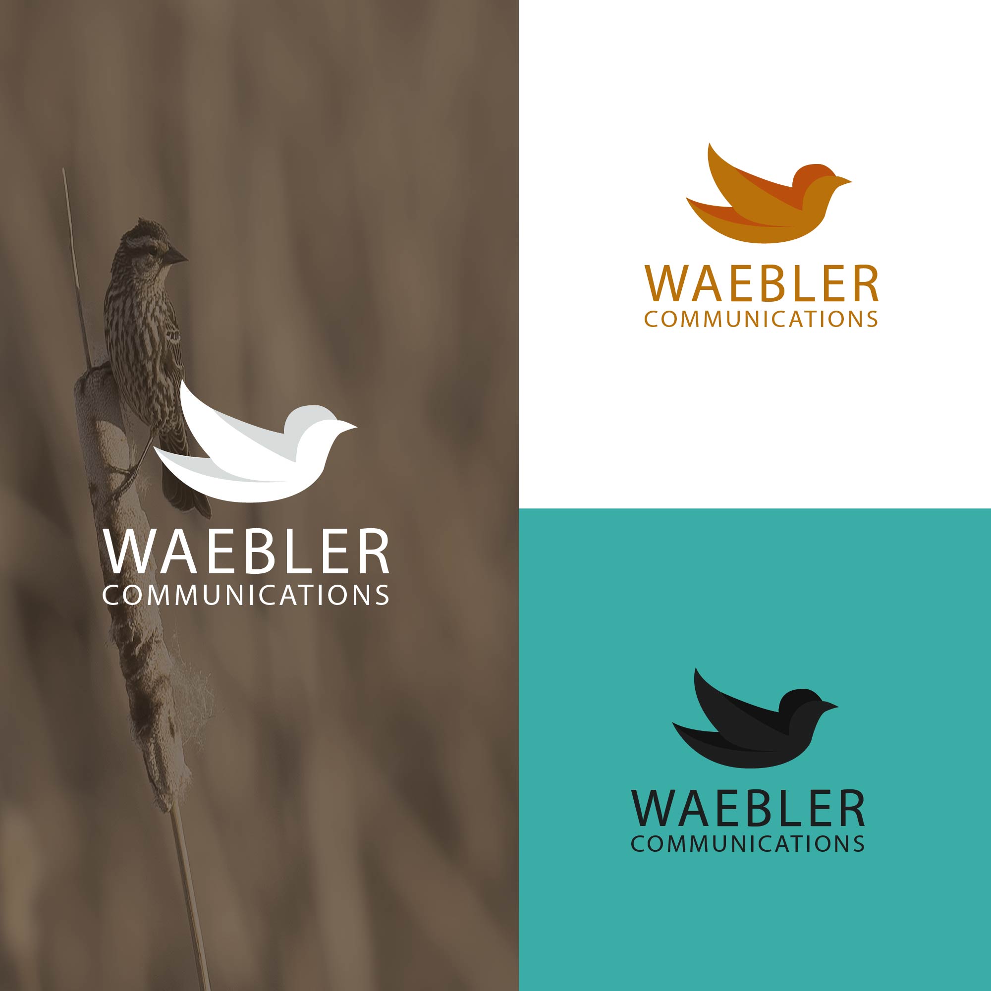 Logo-Design von alitjuara für dieses Projekt | Design #25350085