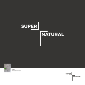 Logo-Design von Sunilc für dieses Projekt | Design: #25347324