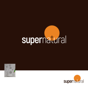 Logo-Design von Sunilc für dieses Projekt | Design: #25355419