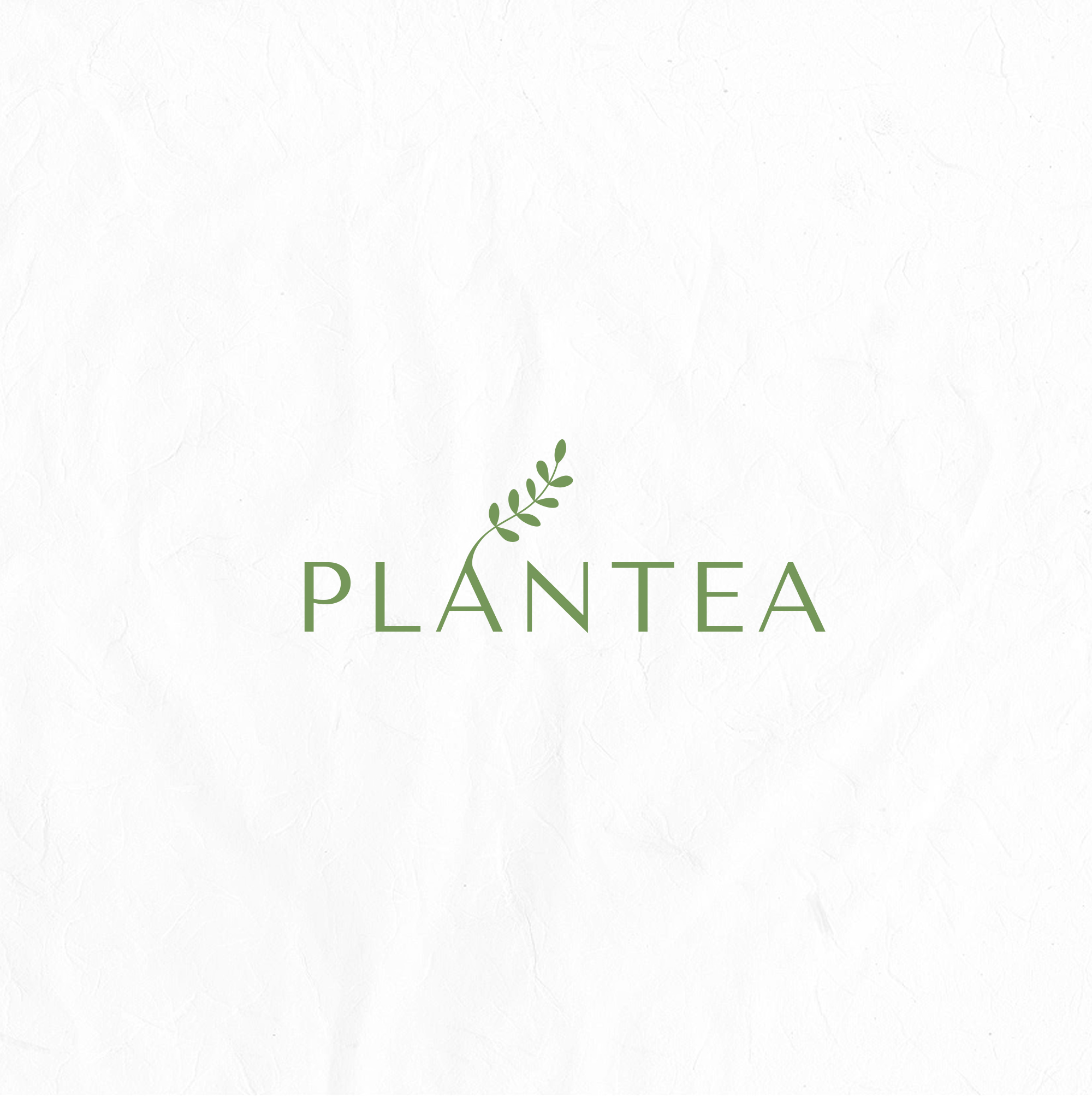 Logo Design by mrs.mary for Centro Bek | Design #25396032