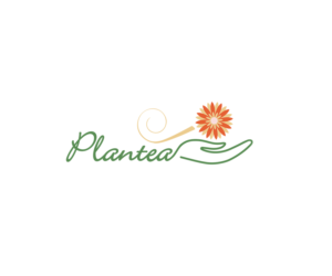 Logo Design by RKDesign29 for Centro Bek | Design: #25387875