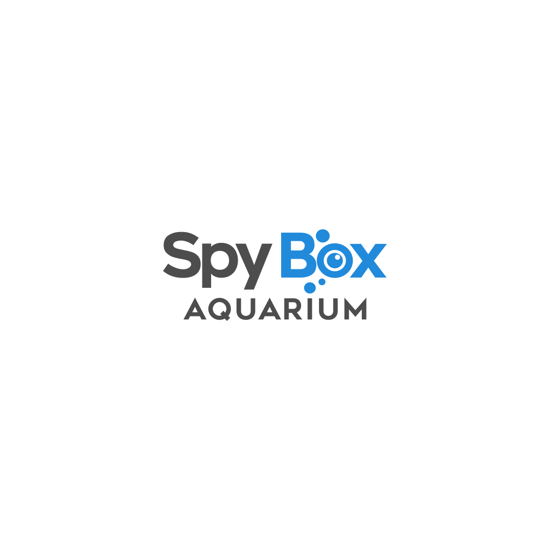 Logo Design by Arham Hidayat for CT Dots LLC | Design #25372598