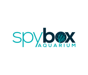 Logo Design by AlphaDezin3 for CT Dots LLC | Design: #25354833