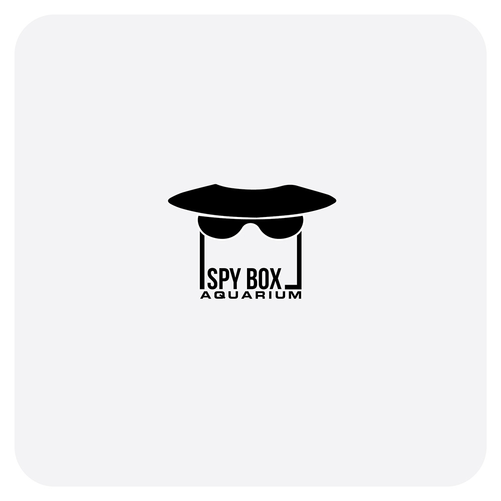 Diseño de Logo por Maxo-Biz para CT Dots LLC | Diseño #25361613