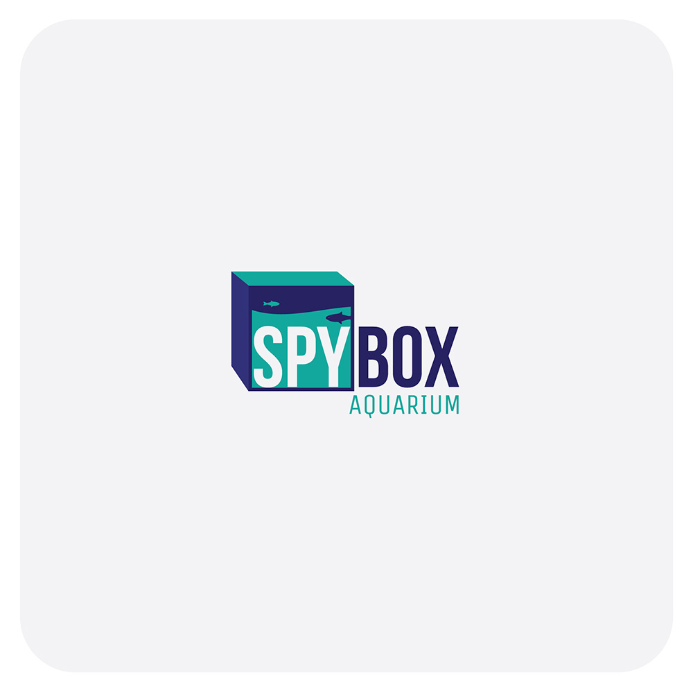 Logo Design by Maxo-Biz for CT Dots LLC | Design #25374669