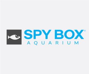 Logo Design by Hoppmann Creative