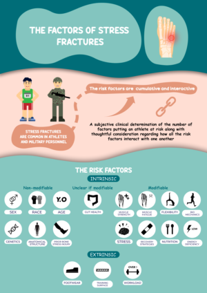 Infografik-Design von Reyhan Ikhsan für dieses Projekt | Design: #25382144