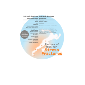 Infografik-Design von titop24 für dieses Projekt | Design: #25414122