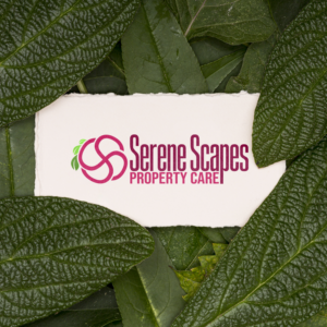 Logo Design by Jhonks