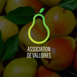 Diseño de Logo por SpaceM para este proyecto | Diseño: #25378998