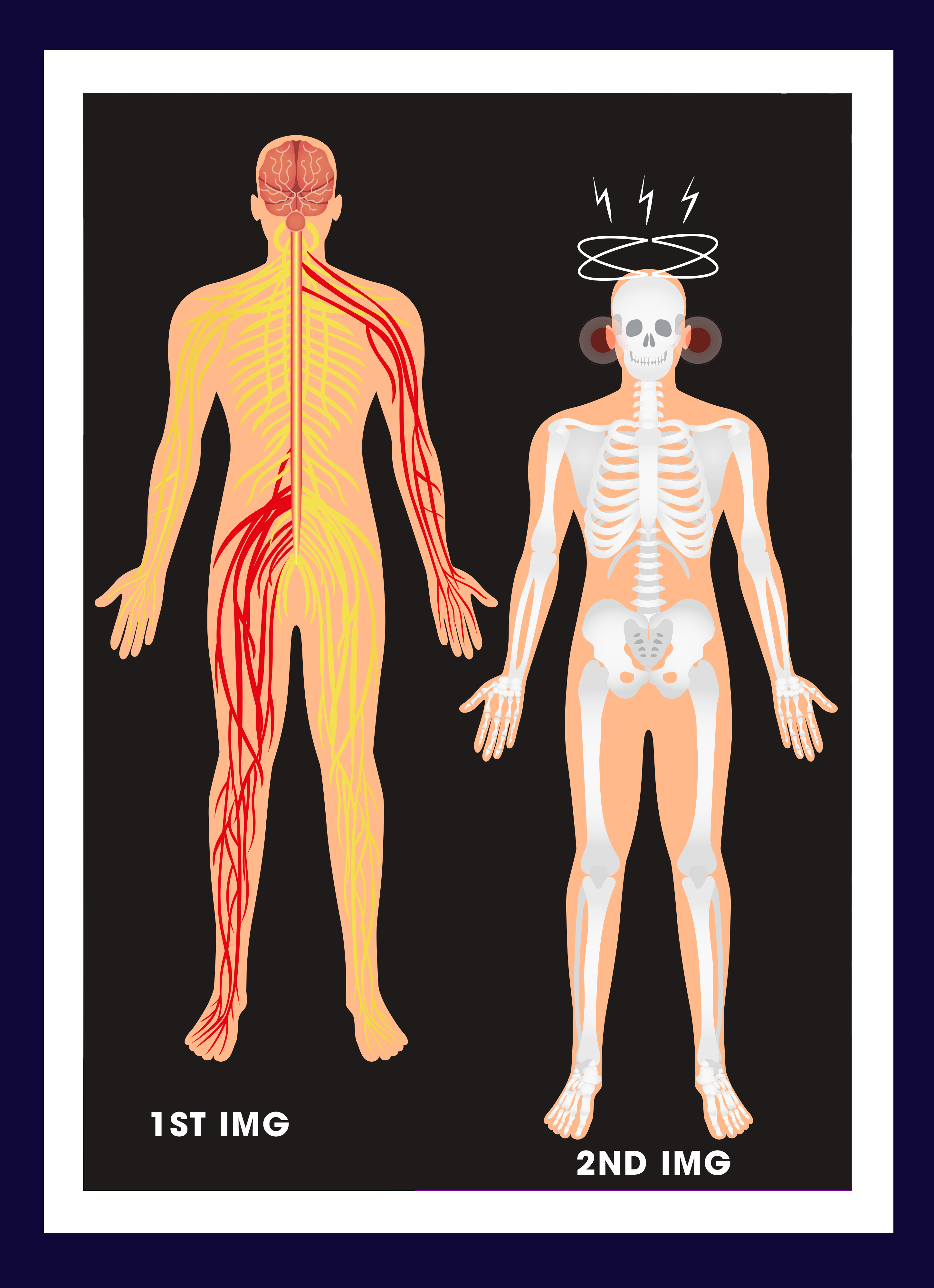 Graphic Design by Expert Designer for Apex Diagnostics | Design #25379605