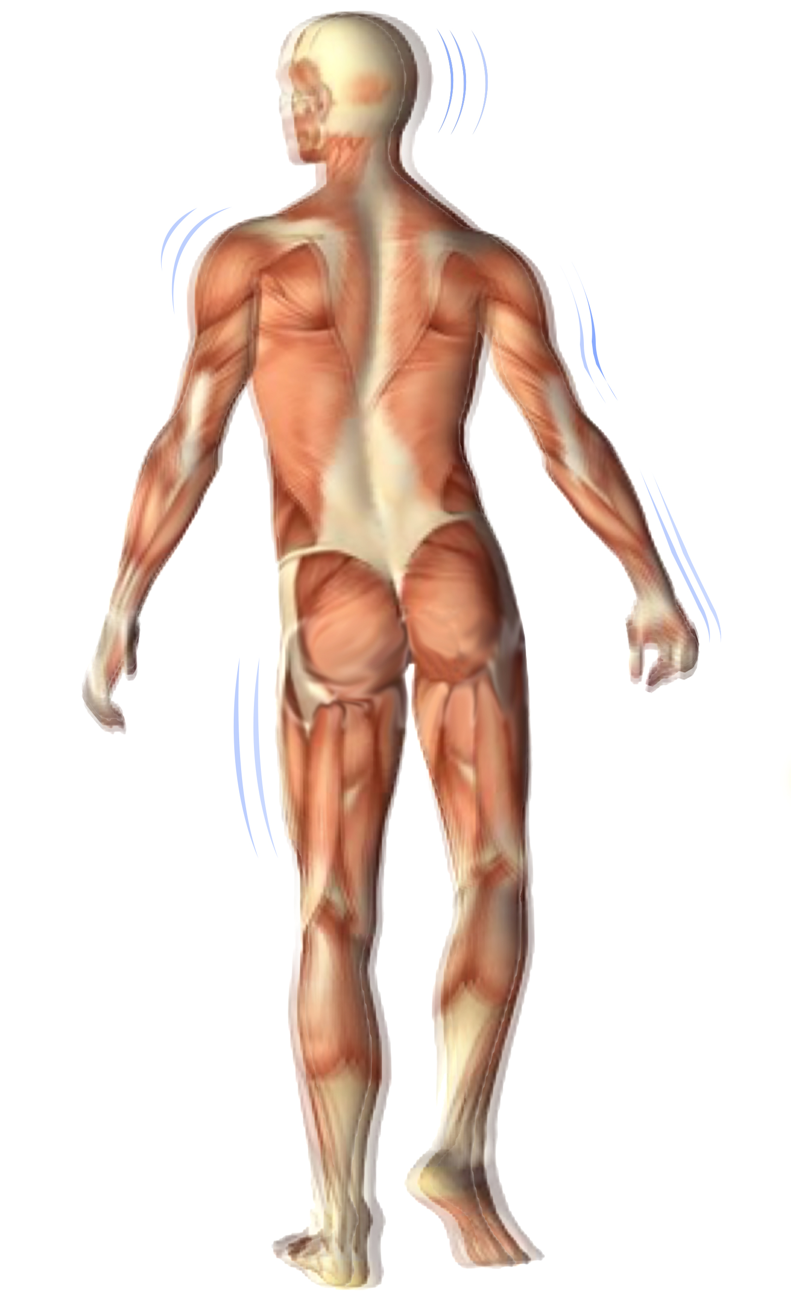 Graphic Design by avi's for Apex Diagnostics | Design #25393640