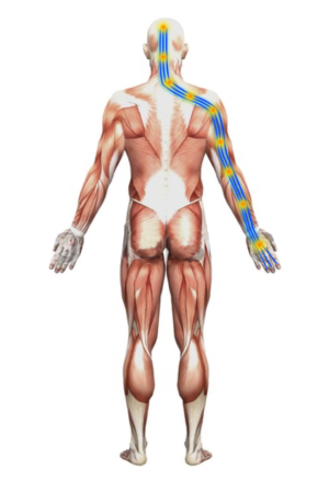 Arm/Leg Pain and Loss of Balance Images | Graphic Design by avi's