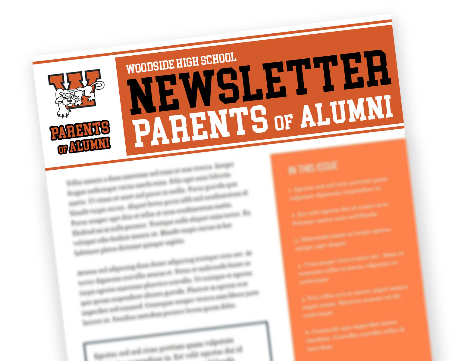 Diseño de Logo por Raphael Archer para Woodside High School Foundation | Diseño #25401122