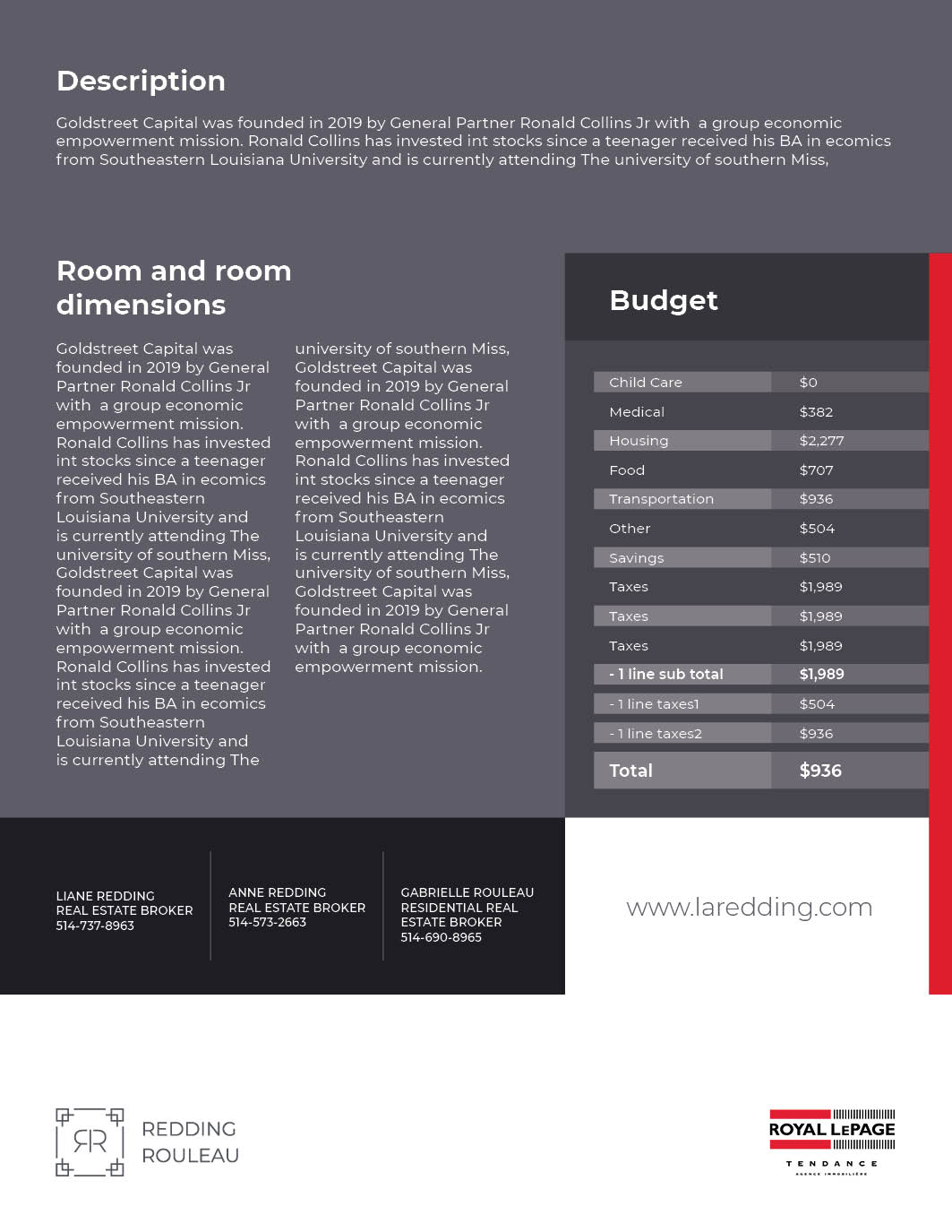 Diseño de Flyer por LeavingImpression para este proyecto | Diseño #25394151