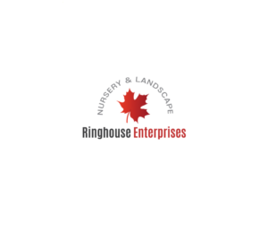 Logo Design by instudio for this project | Design: #25381164