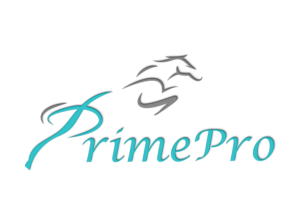 Logo Design by Anamul Burhan for this project | Design: #25377541