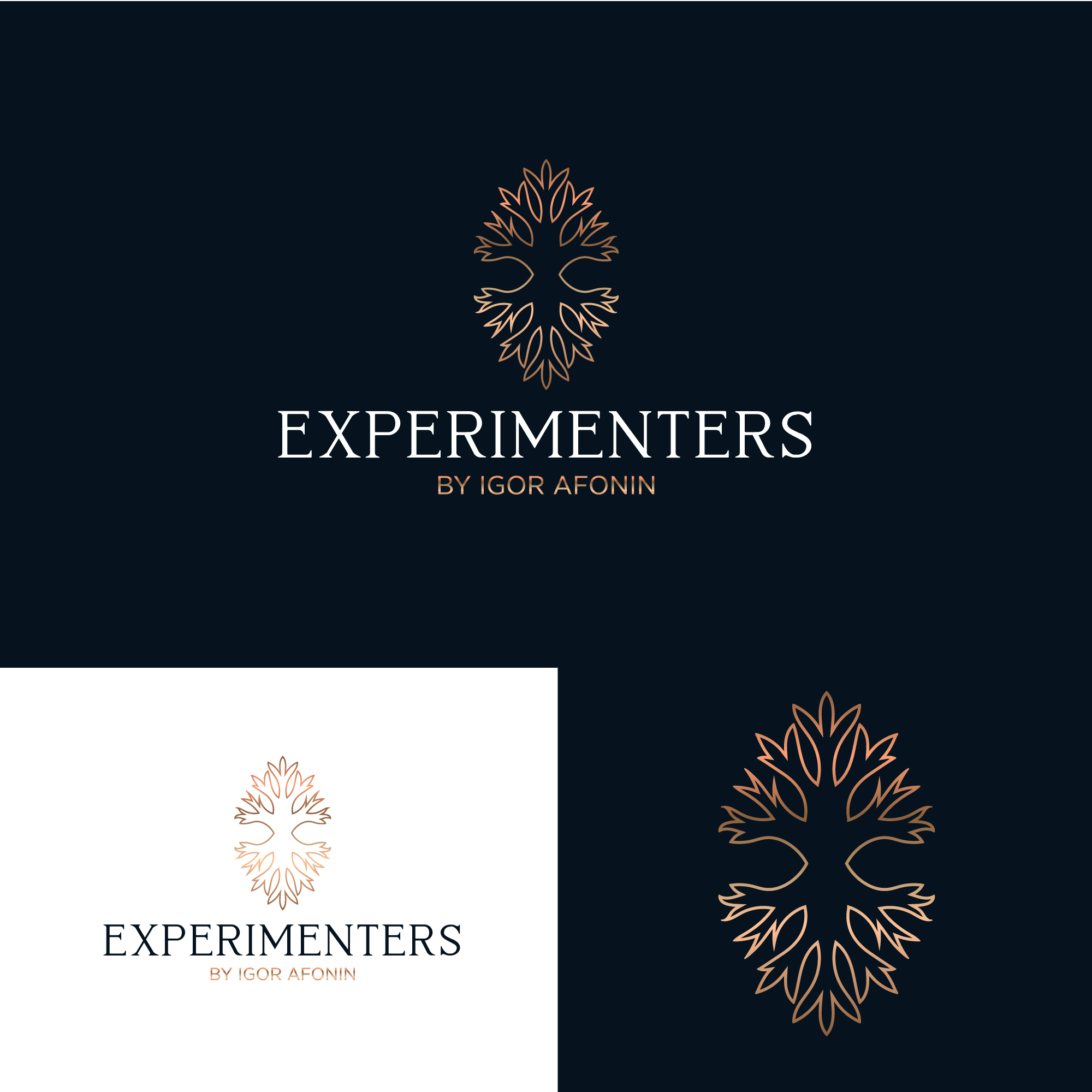 Design de Logo par prakash.vermajp pour ce projet | Design #25453486