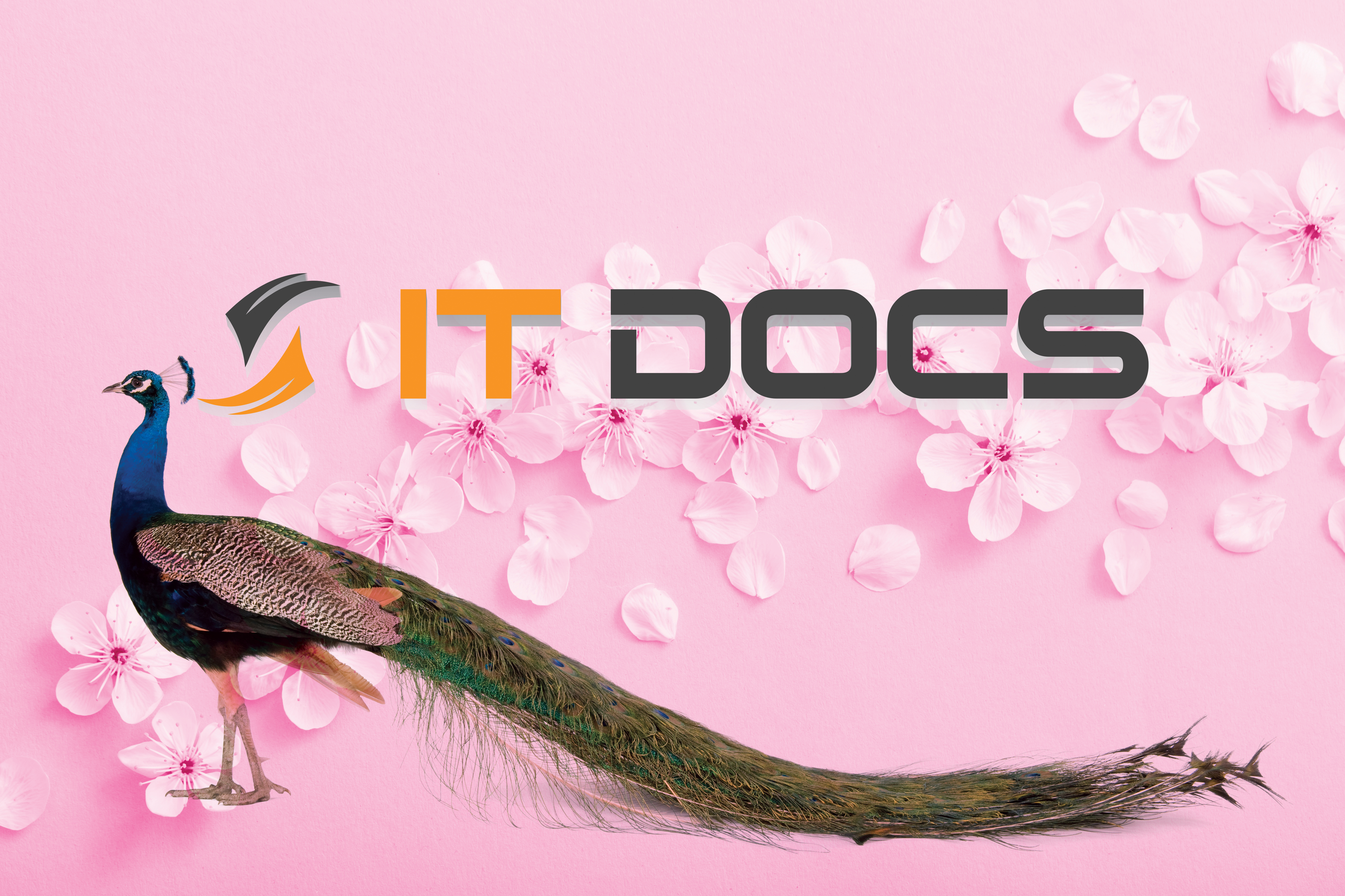 Diseño Gráfico por HAMDIYA para IT Docs GmbH | Diseño #25425376