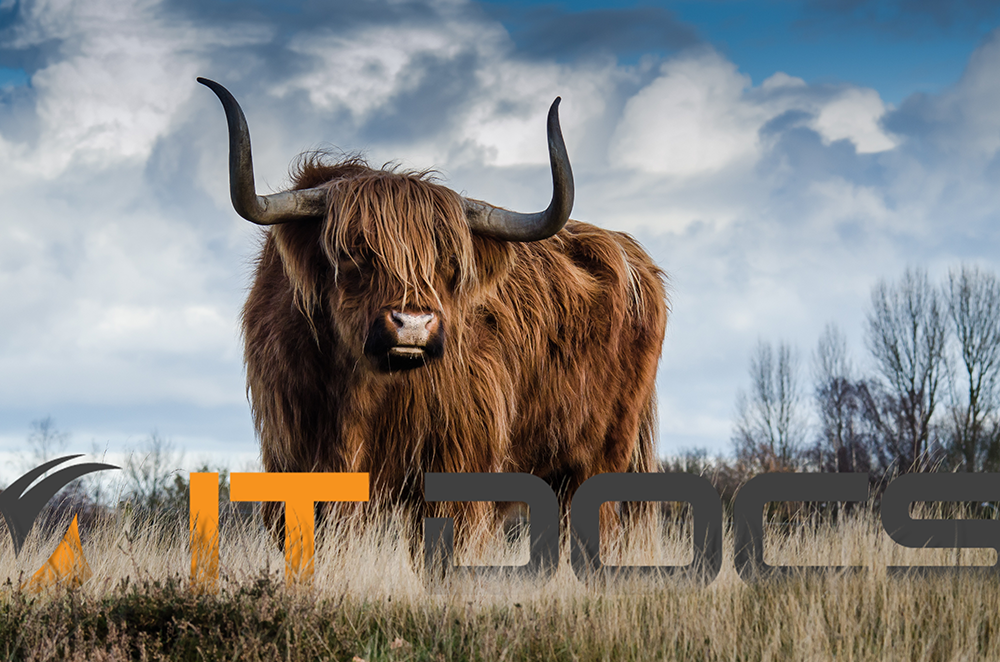 Design Graphique par vectoradics pour IT Docs GmbH | Design #25438410