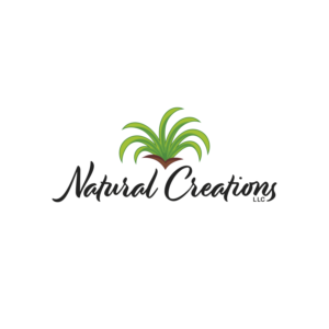 Logo Design by Alex Di Fede