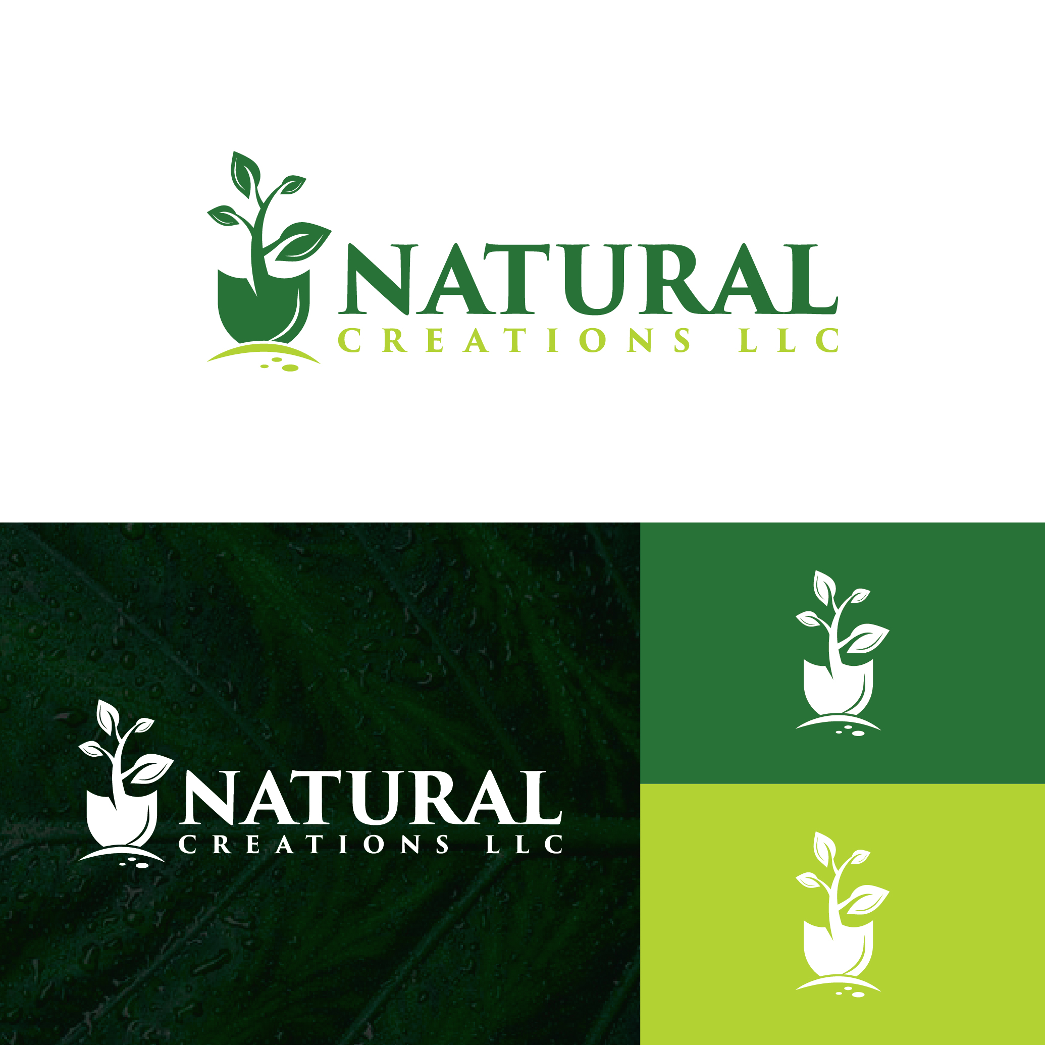 Diseño de Logo por GraphicTec para este proyecto | Diseño #25403572