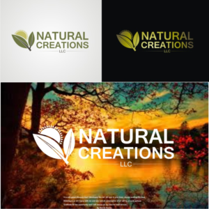 Logo Design by Barros Design for this project | Design: #25463224