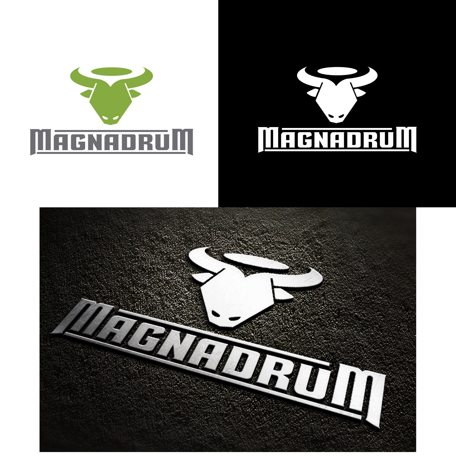 Logo-Design von Finley Johnson für EPMS 2010 Ltd | Design #25445208