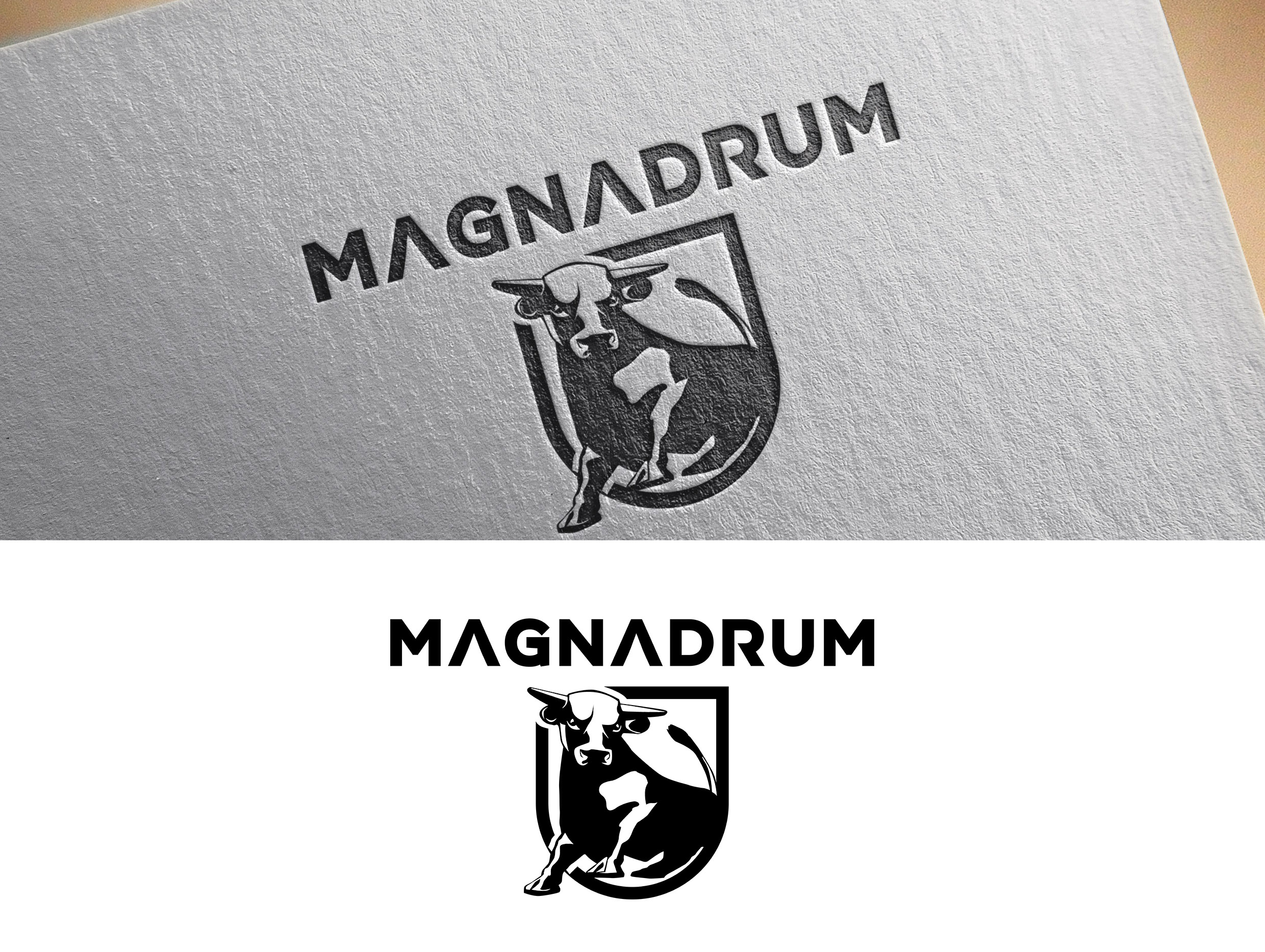 Diseño de Logo por Olgert para EPMS 2010 Ltd | Diseño #25446742