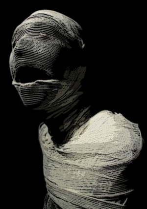 Graphic Design by Shin Kusanagi