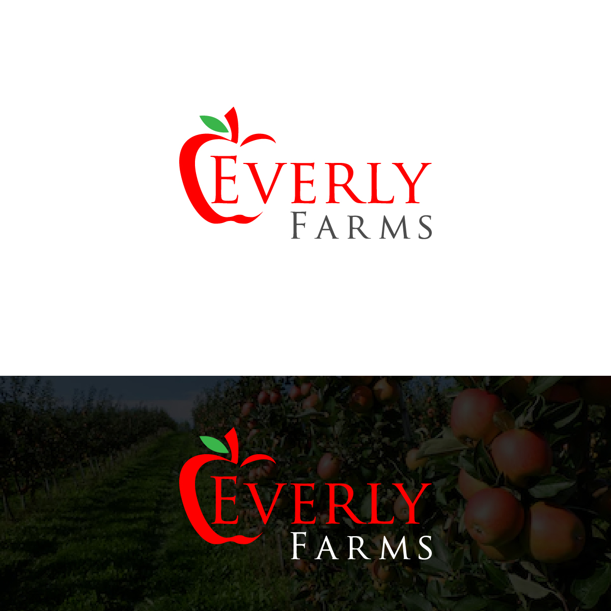 Logo Design by Deziners Zone for this project | Design #25426209