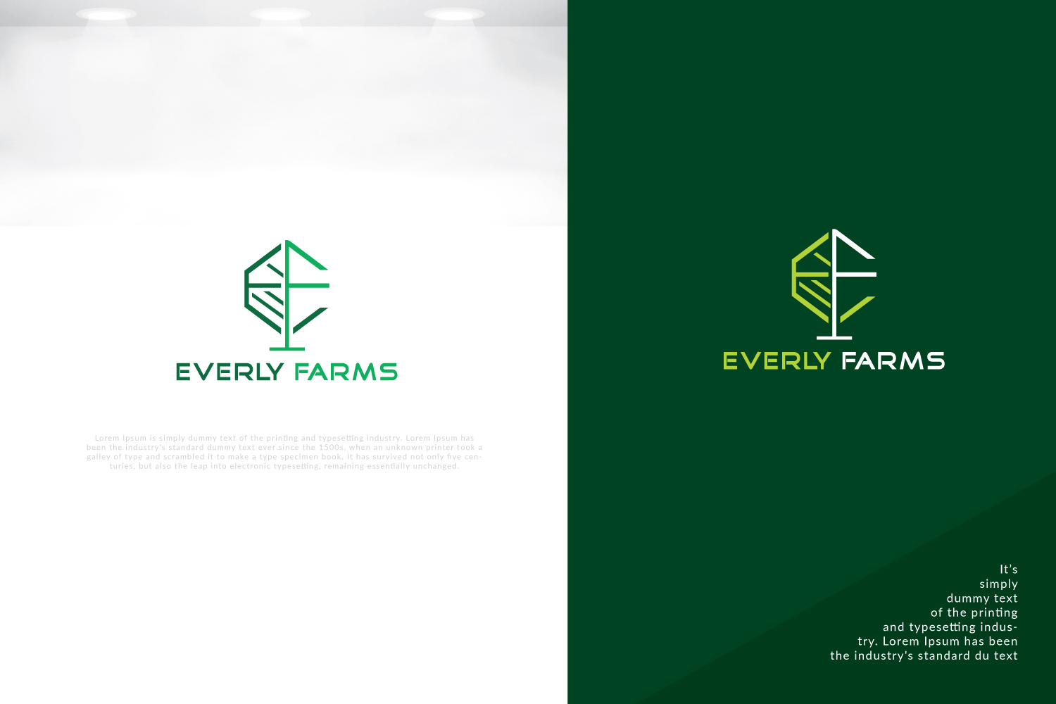 Design de Logo par solidinto pour ce projet | Design #25456540
