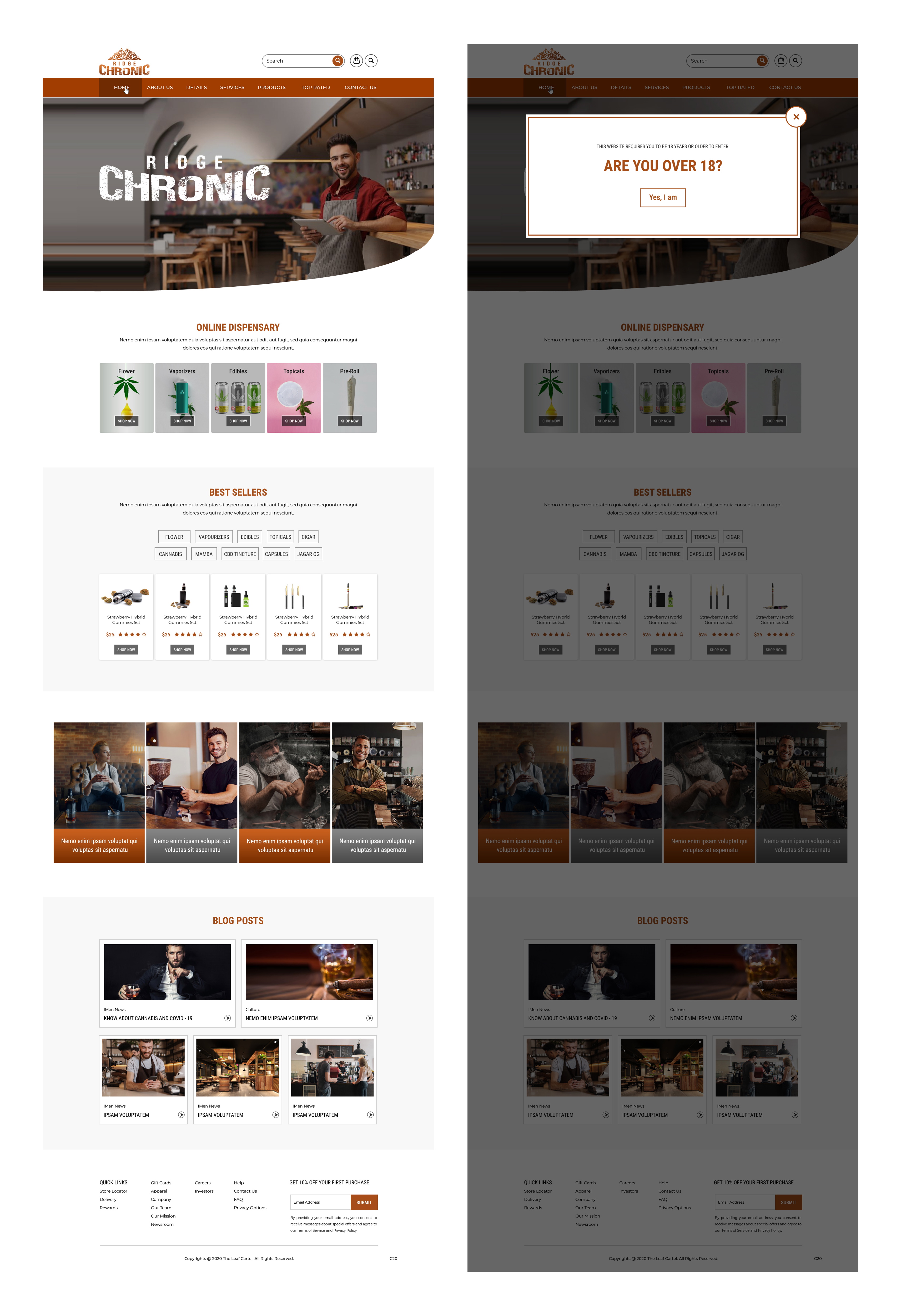 Web Design by pb for this project | Design #25427590