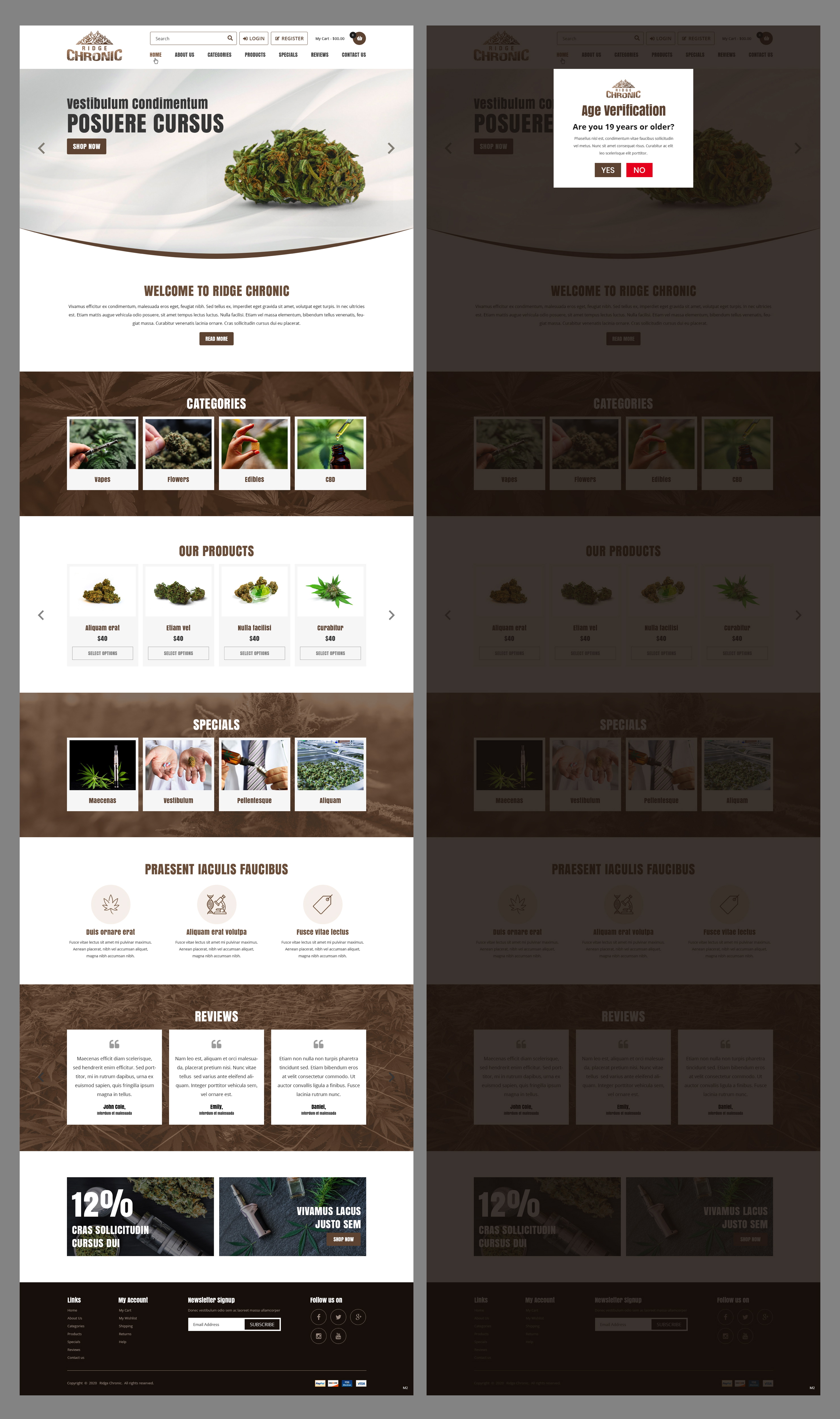 Web Design by pb for this project | Design #25427597