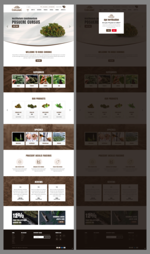 Web-Design von pb für dieses Projekt | Design: #25427597