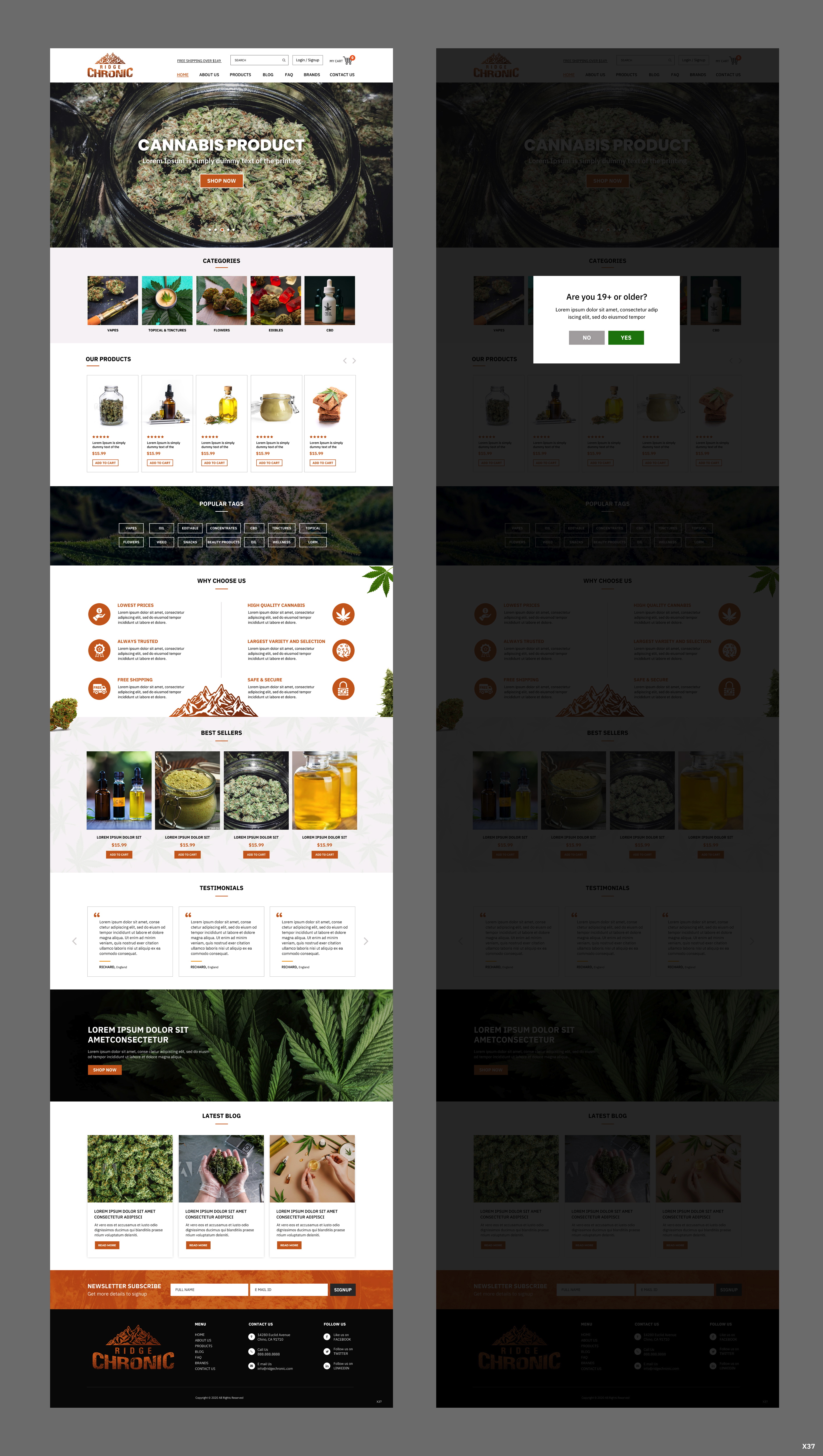 Web Design by pb for this project | Design #25427600