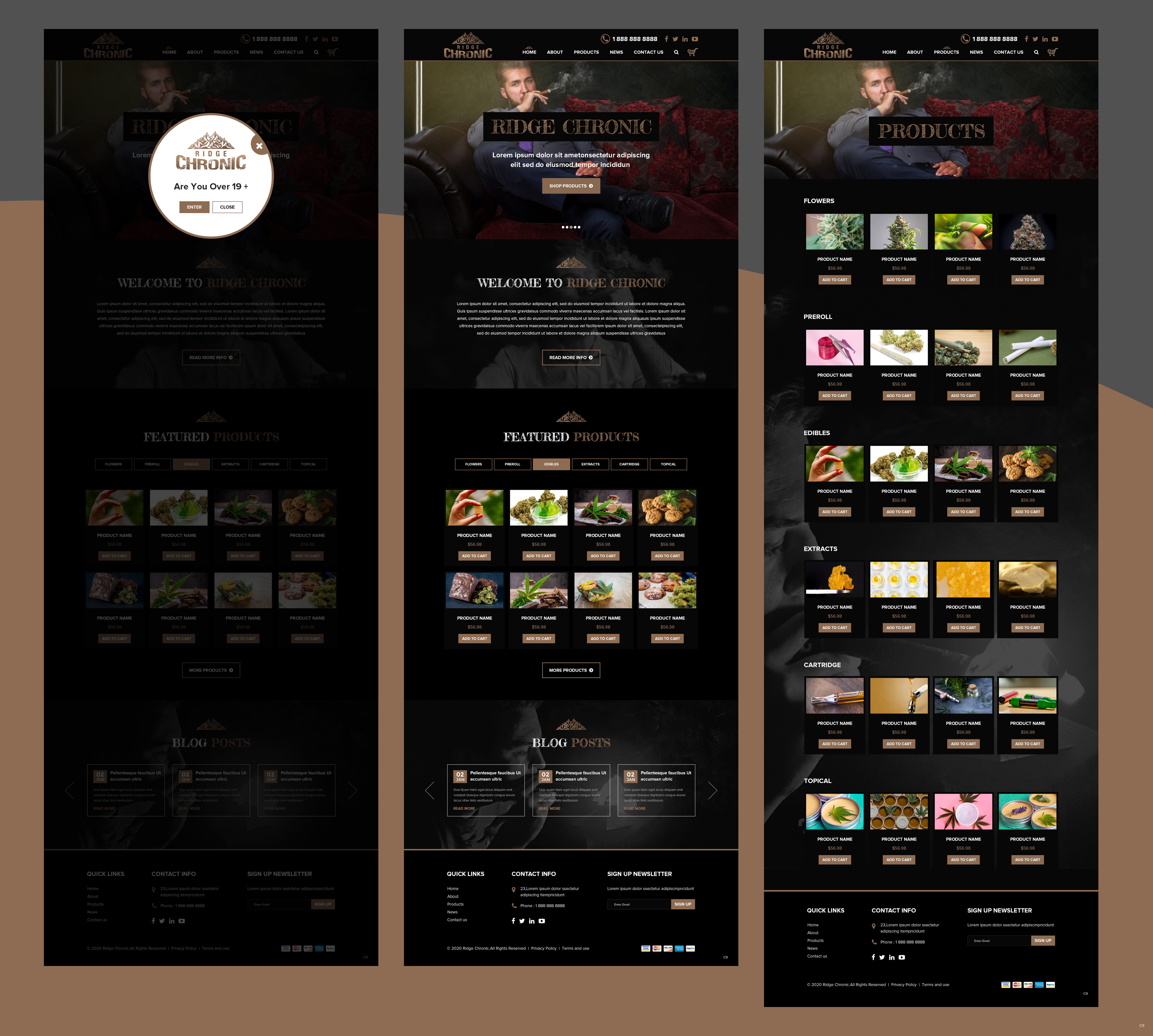 Web Design by pb for this project | Design #25507702