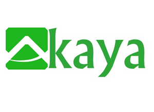 Logo Design by ErdeneDesign
