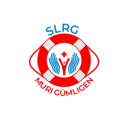 Diseño de Logo por iamrady para este proyecto | Diseño #25554716