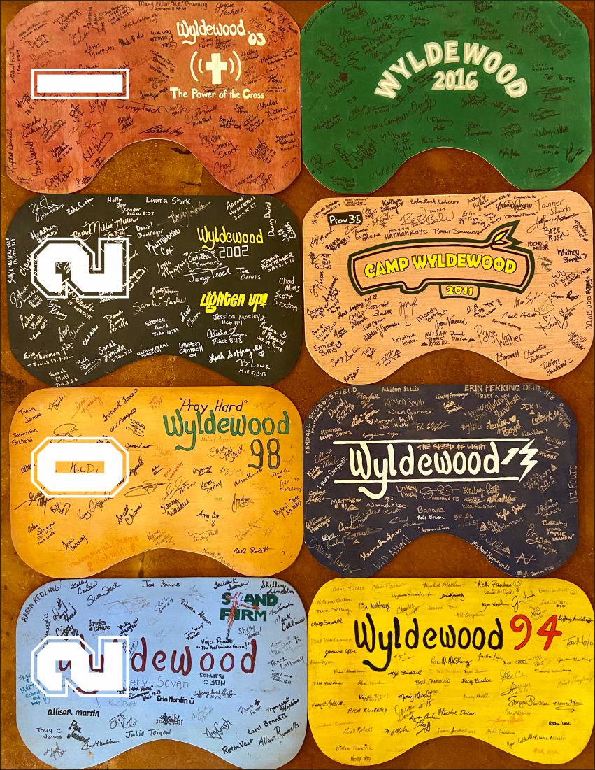 Design de Revue par DesignChhap pour Camp Wyldewood | Design #25454720