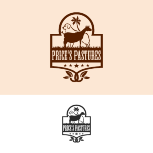 Logo Design by ARTDOTBUMBA HOUSE OF DESIGN for Professional Coating Systems  | Design: #28153869