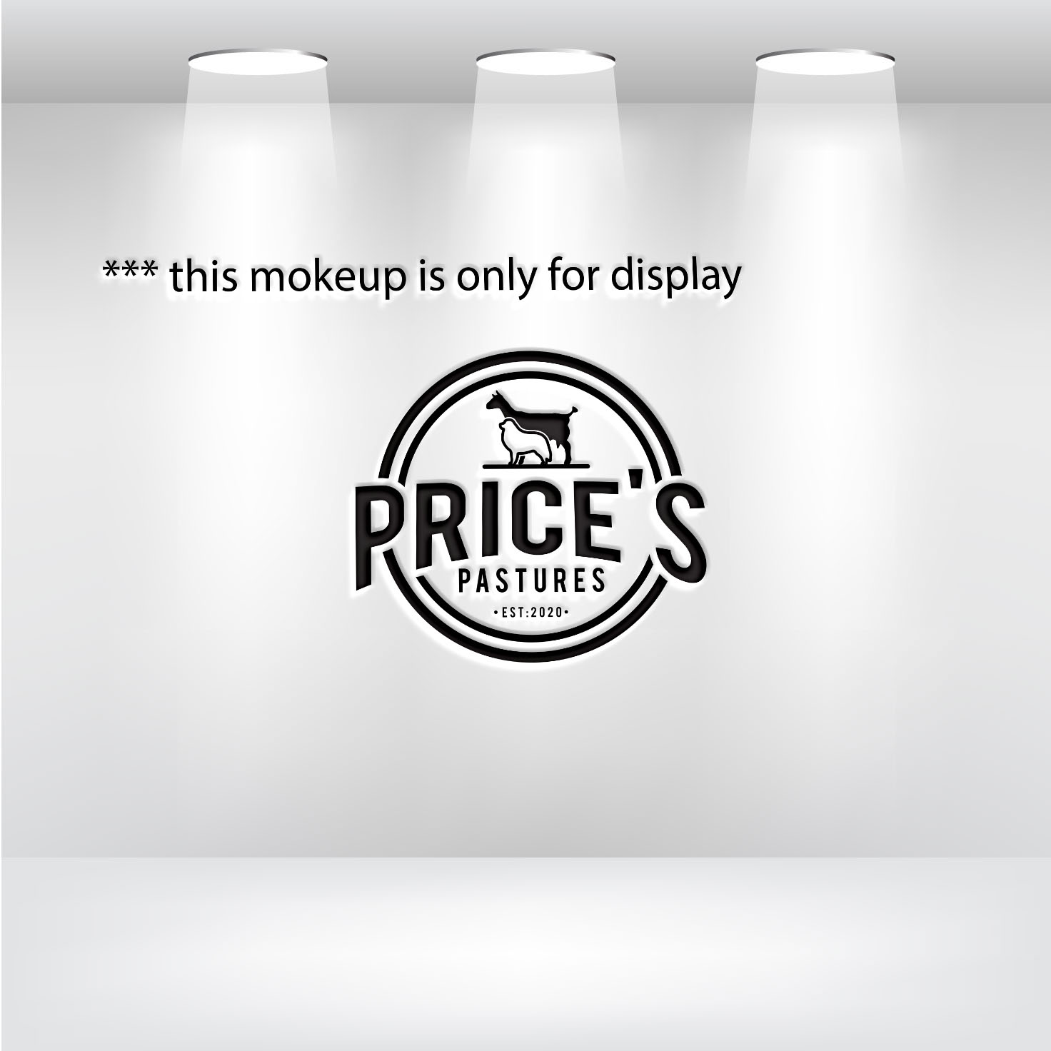 Design de Logo par Ochieng pour Professional Coating Systems  | Design #25445447