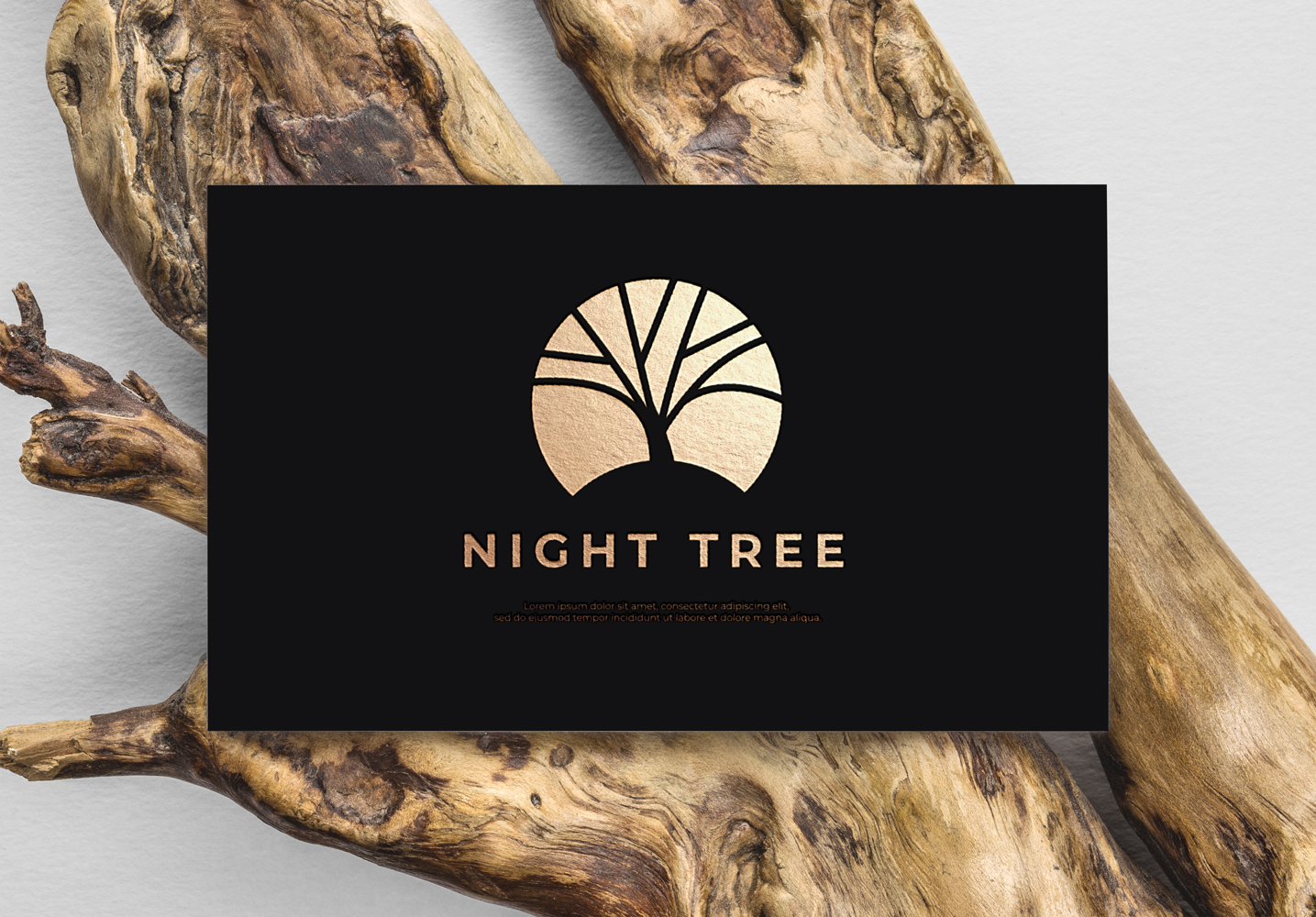 Logo Design by Senpachie for this project | Design #25446358