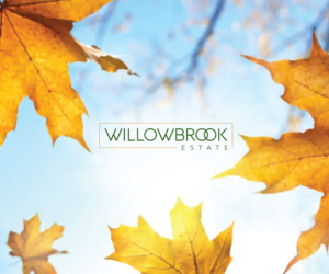 Logo Design by saulogchito for this project | Design: #25470442