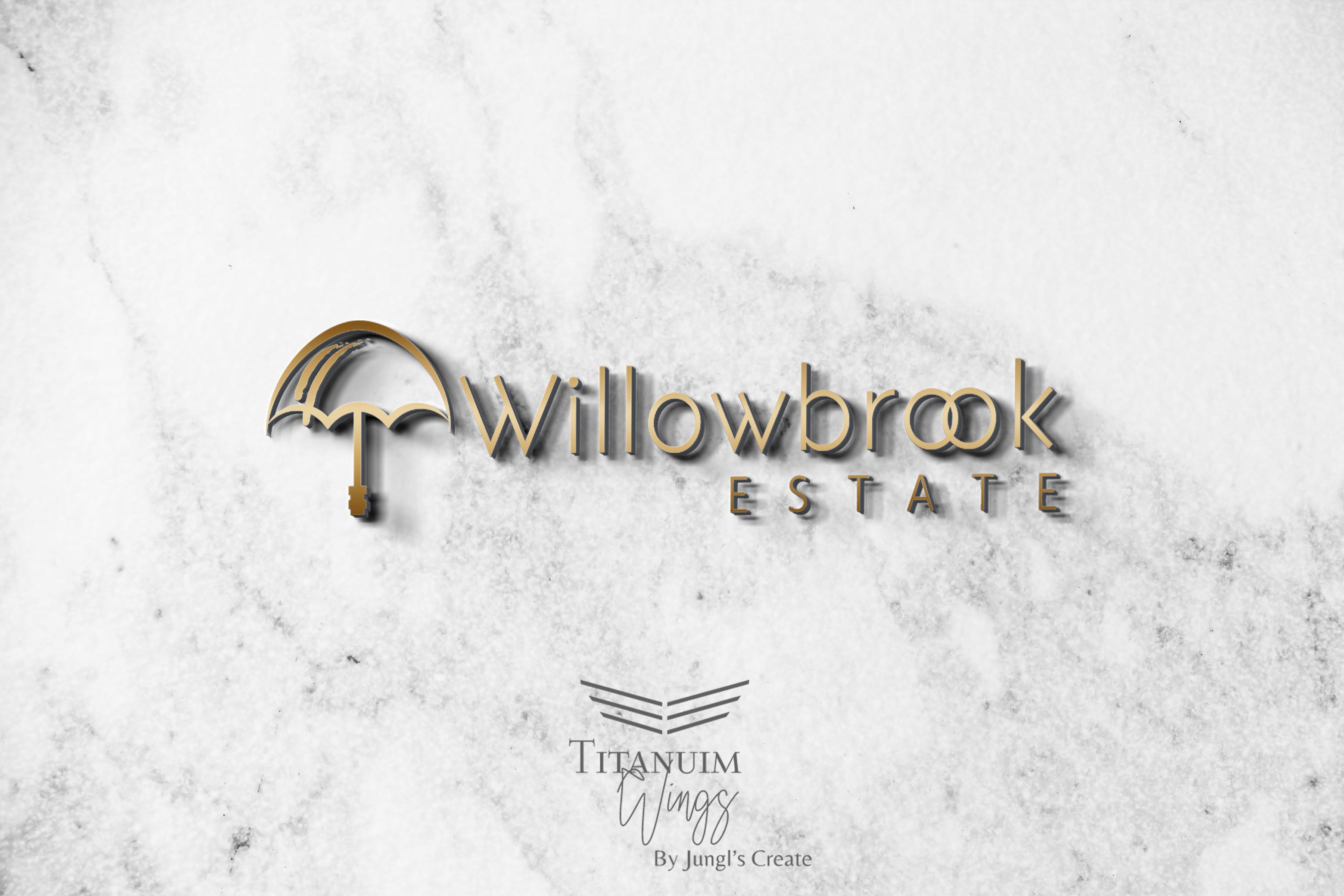Logo Design by titanium wings for this project | Design #25452980