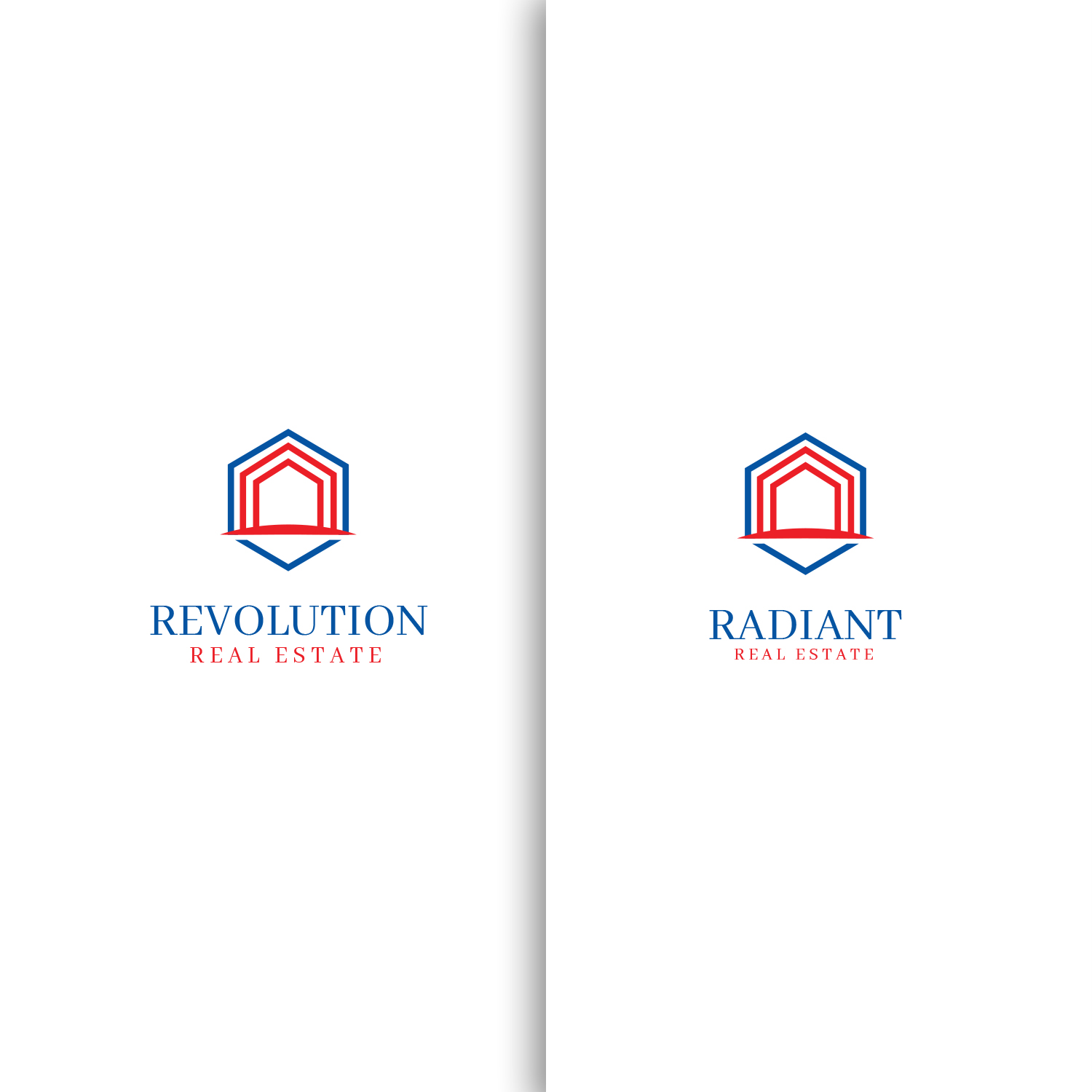 Logo Design by nzdesigners for this project | Design #25458993