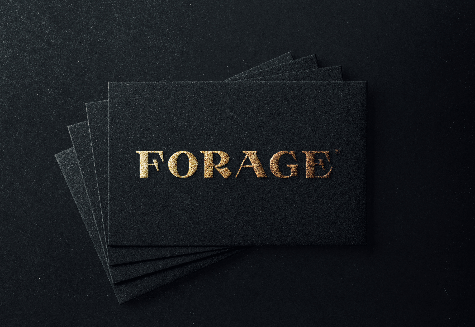 Logo-Design von Mohamed Fouad 93 für Birch & Lace | Design #25464065