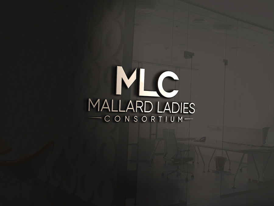Design de Logo par IdentsArt pour ce projet | Design #25456993