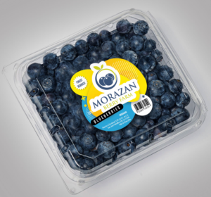 Design Autocollant par Sarina.dsg pour The Ag Shack | Design : #25486774